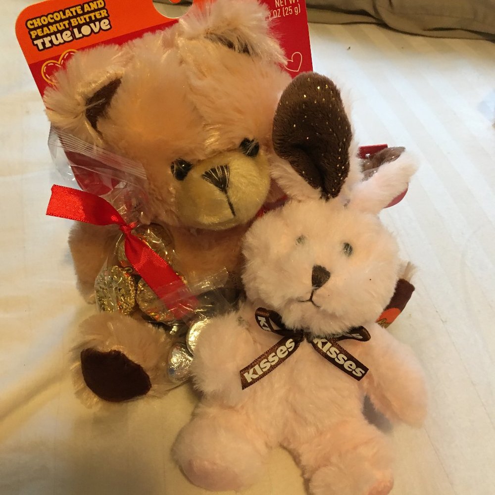 Reeses & Hersheys Teddy Bears w/ Chocolate!